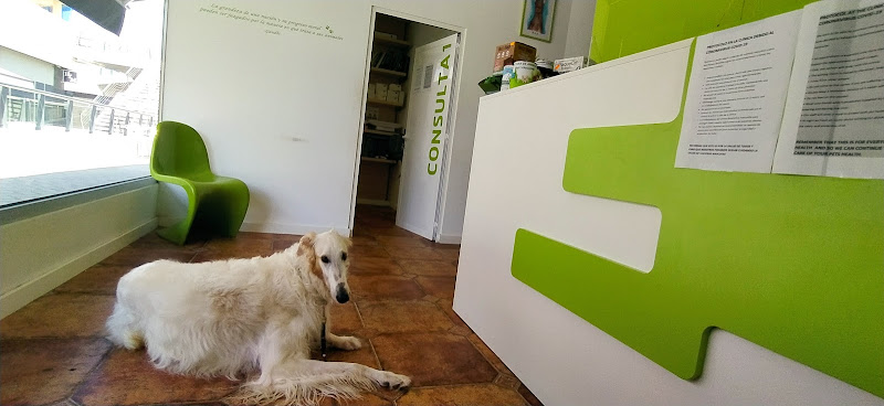 Negocio Mundo Animal