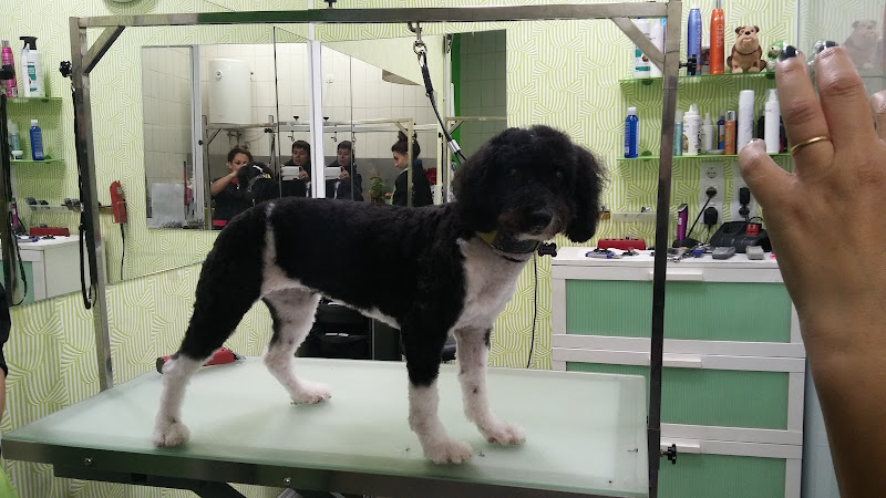 Negocio Mya; Molly Max Y Ana Esther