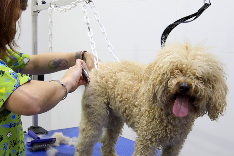 Negocio Naturalmascotas