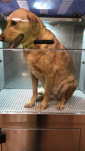 Negocio Noeral Salou