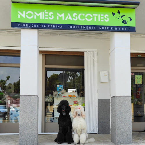 Negocio Només Mascotes