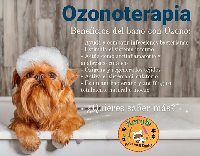 Negocio Norubi Peluquería Canina