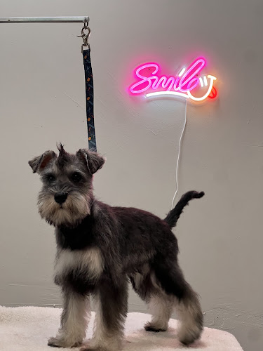 Negocio Oh! My Dog - Laracha