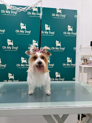 Negocio Oh My Dog! Peluquería, Boutique Y Guardería Canina Y Felina