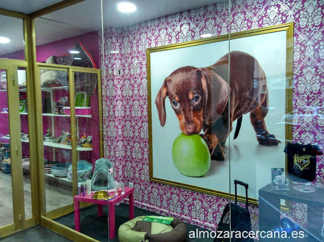 Negocio Oh My Dog! Zaragoza