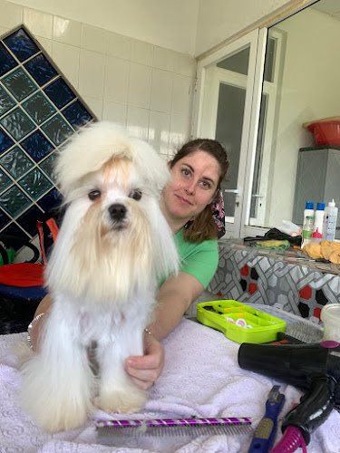 Negocio Oliva Fernández · Peluquería Azureus Pets