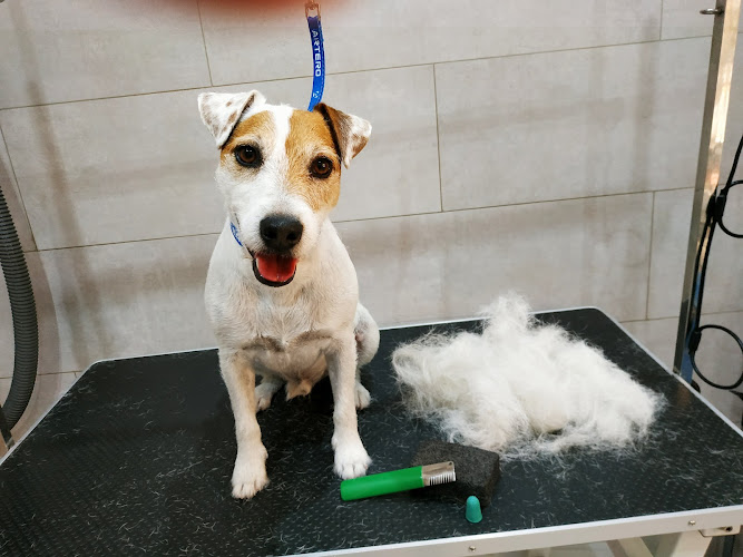 Negocio Paradís Guau Guau