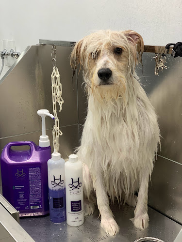 Negocio Paraiso Del Can