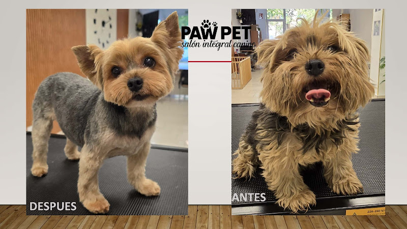 Negocio Paw Pet Salon Integral Canino