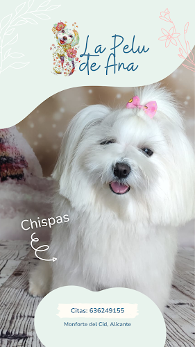 Negocio Pel'ana's Peluquería Canina (La Pelu De Ana)