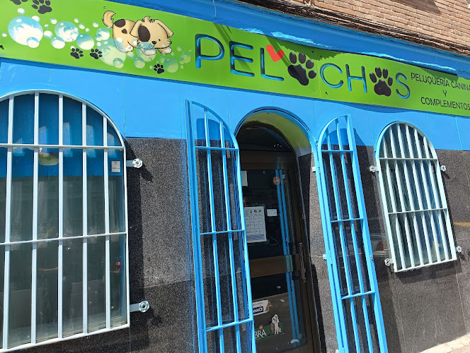 Pelochos Peluquería Canina