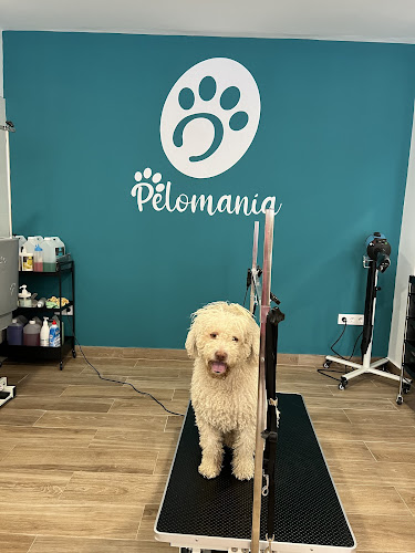 Negocio Pelomanía