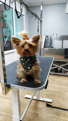 Negocio Peludos Peluqueria Canina