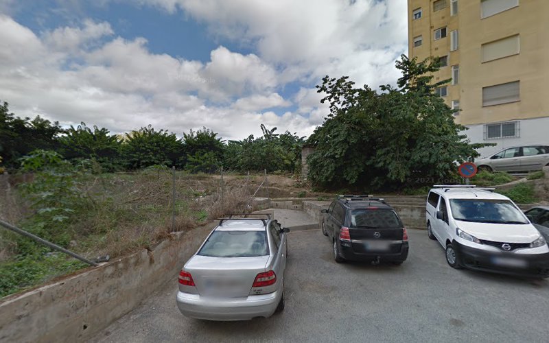 Negocio Peluquera Canina A Domicilio