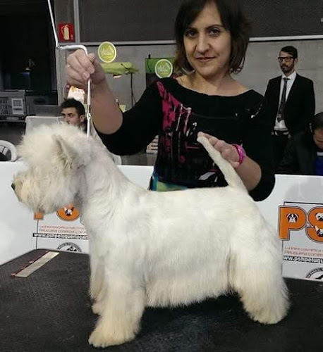 Negocio Peluqueria Canina Ana Belén González Velasco
