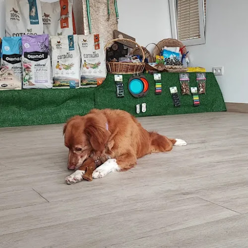 Negocio Peluquería Canina Ana García