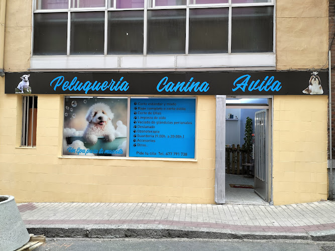 Negocio Peluquería Canina Ávila