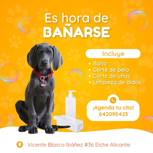 Negocio Peluquería Canina Barón Style C/Vicente Blasco Ibáñez #36 Elx Alicante