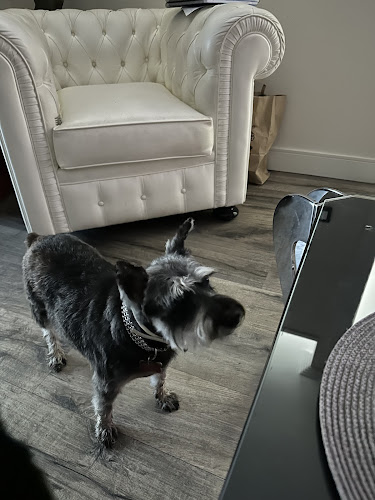 Negocio Peluqueria Canina Bruno Sánchez