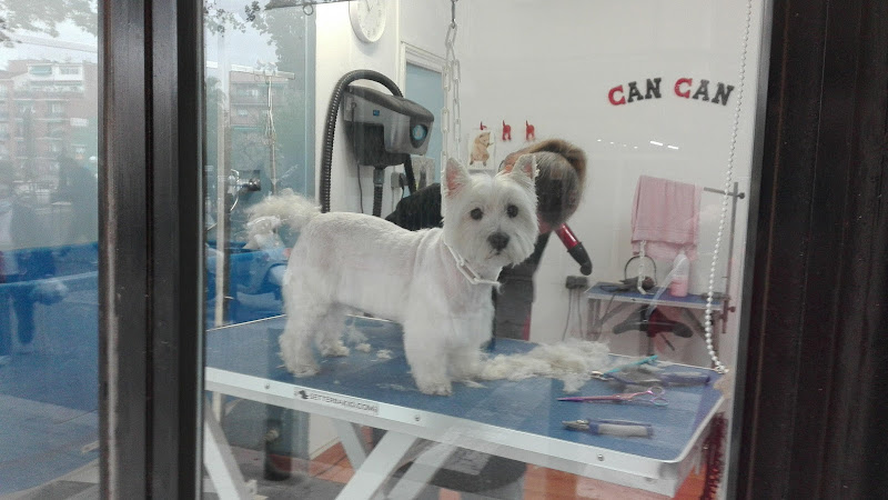 Peluquería Canina Can Can Nou Barris
