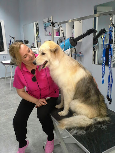 Negocio Peluqueria Canina Carmen Ruiz