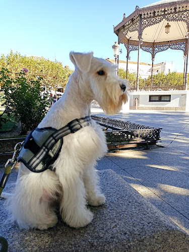 Negocio Peluquería Canina Ciro
