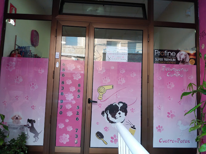 Negocio Peluquería Canina Cuatro Patas