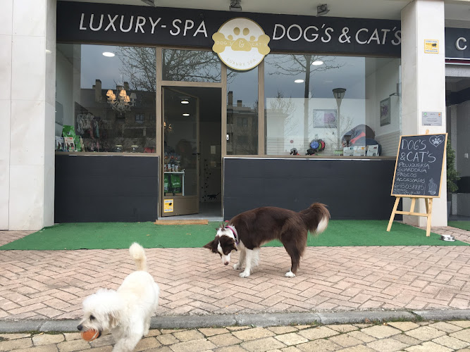 Negocio Peluquería Canina Dog's & Cat's Luxury Spa