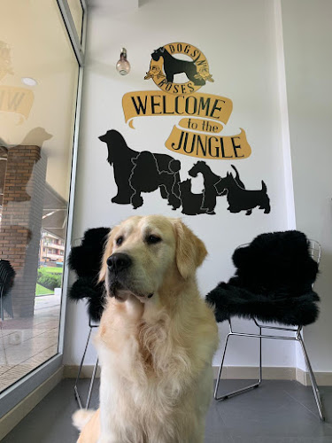 Negocio Peluquería Canina Dogs N' Roses