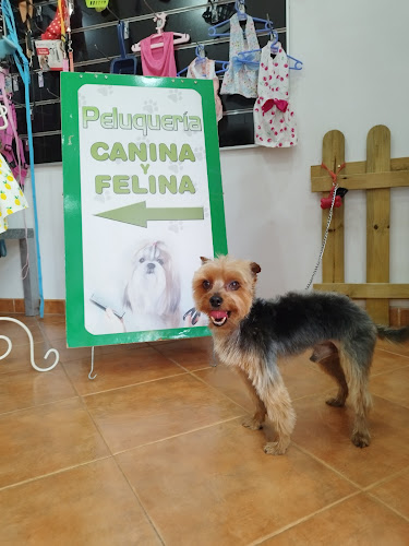 Negocio Peluquería Canina & Felina Laura B Martín