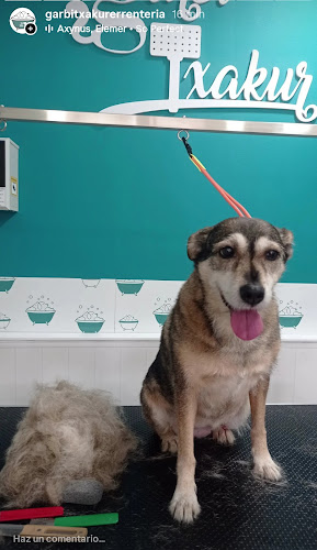 Negocio Peluquería Canina - Garbitxakur Errenteria
