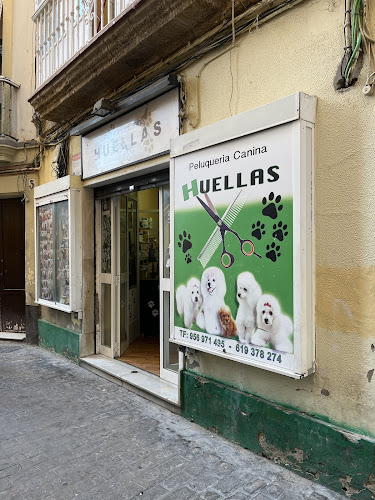 Negocio Peluquería Canina Huellas
