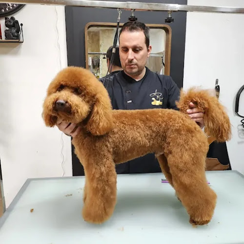 Negocio Peluquería Canina Jaime Rivera
