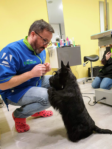 Negocio Peluquería Canina Juan A Fernandez