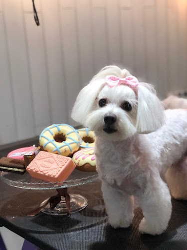 Negocio Peluquería Canina La Casa Del Bou