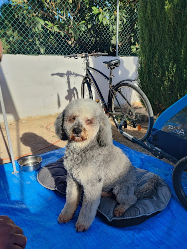 Negocio Peluqueria Canina La Granja