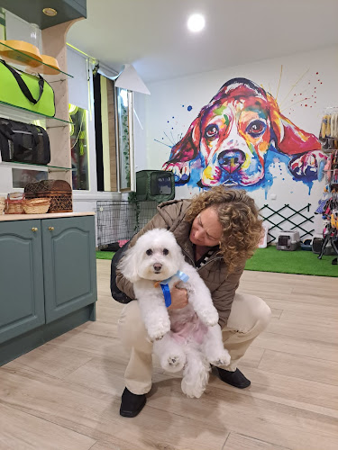 Peluquería Canina La Perruqueria De Valdebebas