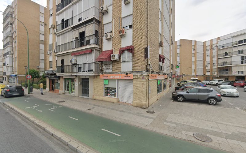 Peluquería Canina Lola Avenida Pino Montano 29