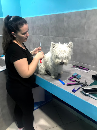 Negocio Peluquería Canina Lucía En Bichos Ciudad Real