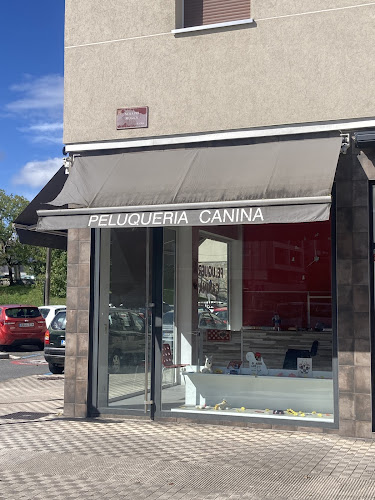 Negocio Peluquería Canina Malas Pulgas