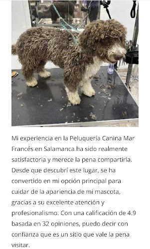 Peluquería Canina Mar Francés