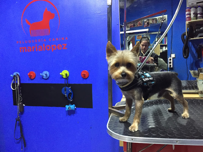 Peluquería Canina María Lopez