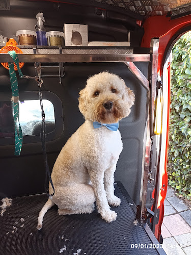 Negocio Peluqueria Canina Movil Cherokee