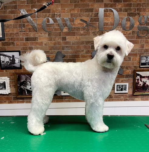 Negocio Peluquería Canina Newdog (Tresky)