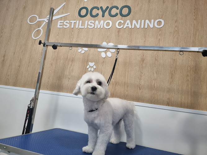 Negocio Peluquería Canina Ocyco