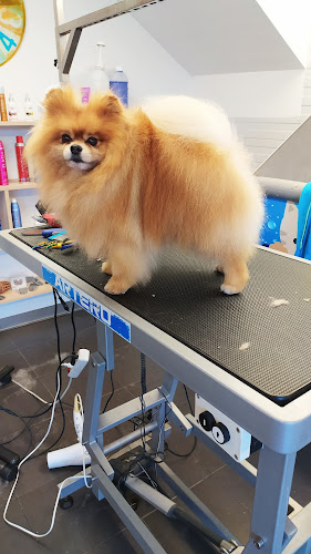 Negocio Peluqueria Canina Peludos