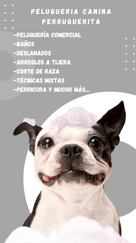 Negocio Peluquería Canina Perruquerita