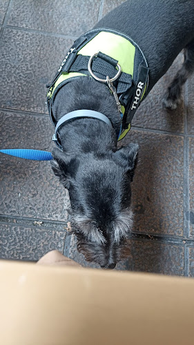 Negocio Peluquería Canina Sara Escudero