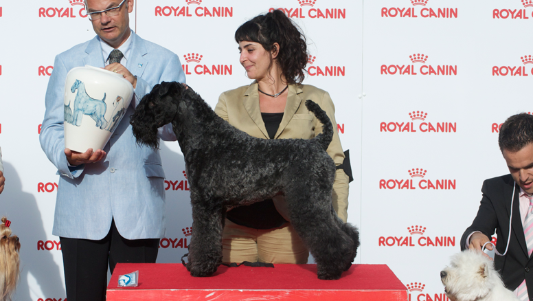 Negocio Peluquería Canina Truka