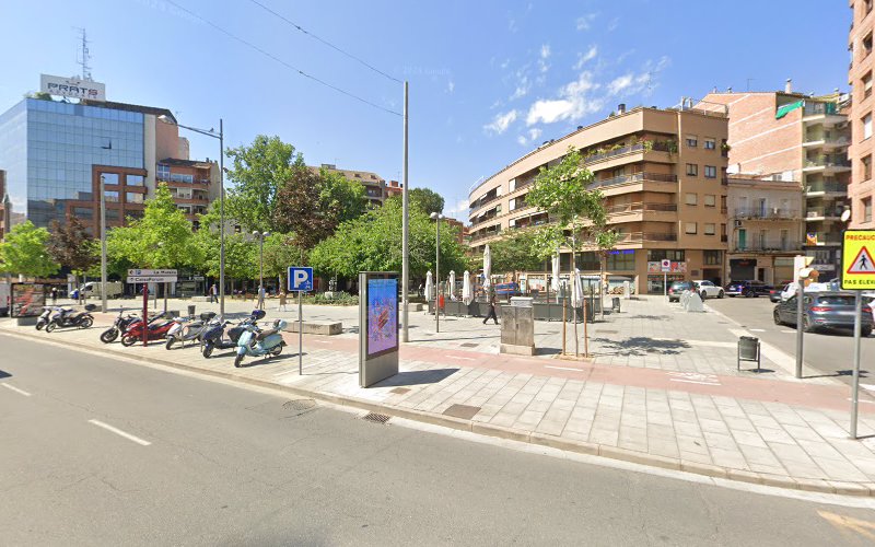 Negocio Peluqueria Canina Vidaperra